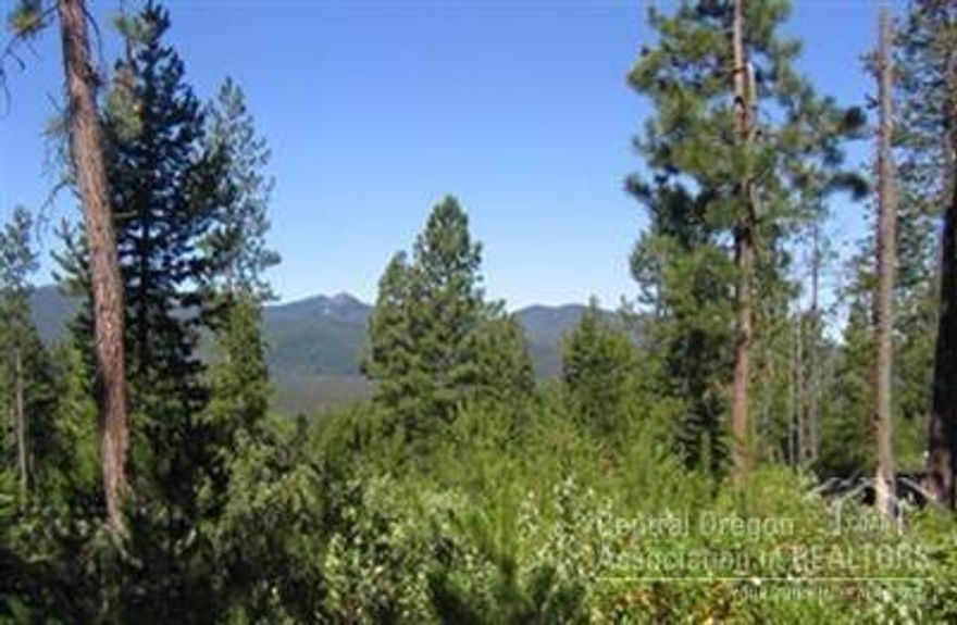 Great Diamond Peaks Parcel with Awesome Mountain Views! Easy winter access as the roads are paved and plowed. Just minutes from both Crescent and Odell Lakes. Convenient access tot he Willamette Pass Ski Resort just up the road. Amazing recreation opportunities abound.