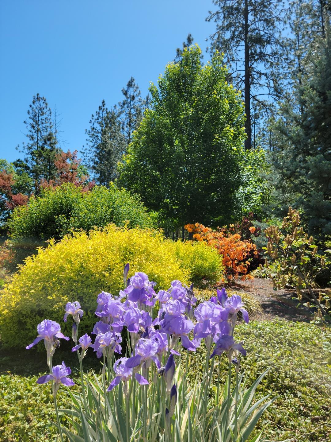 Woodlake Meadows Subdivision - Residential