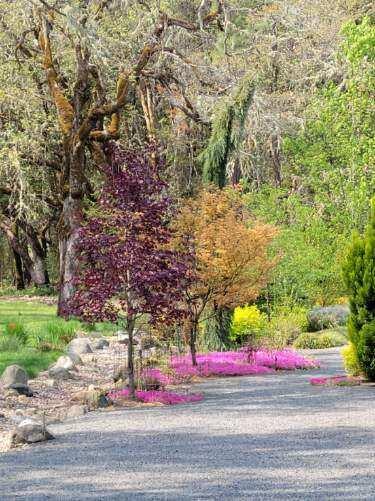 Woodlake Meadows Subdivision - Residential