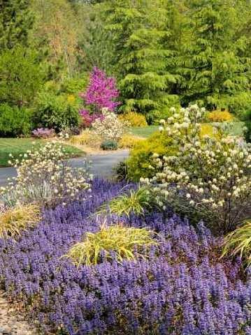 Woodlake Meadows Subdivision - Residential