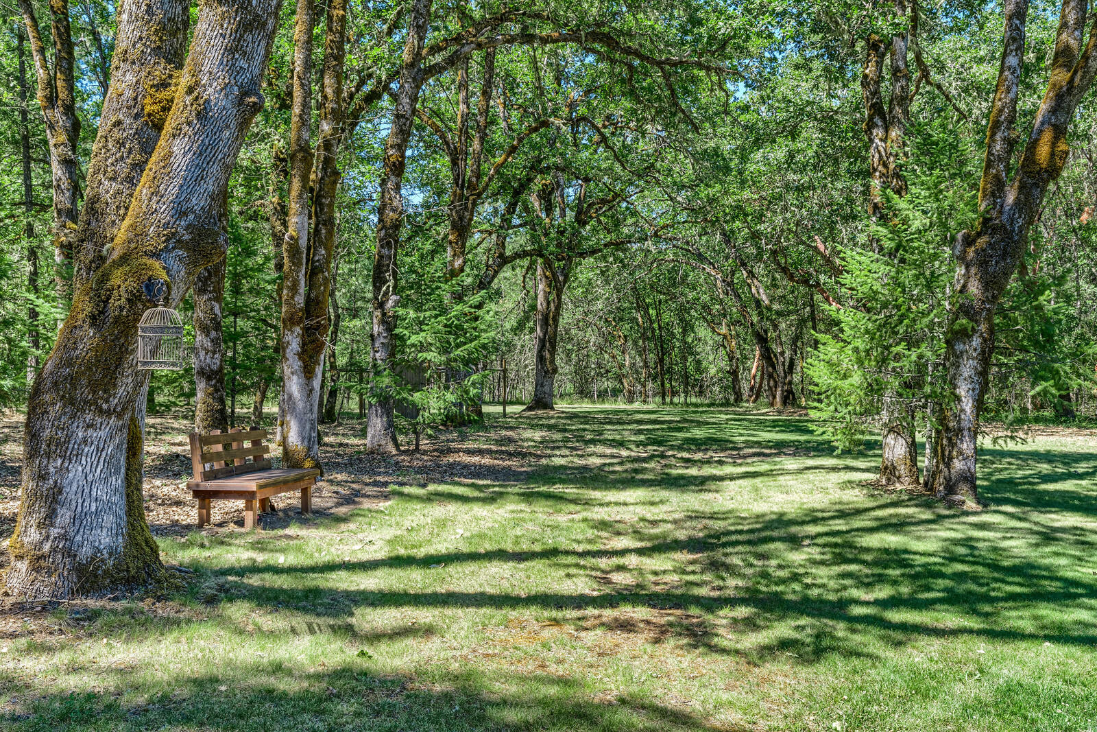 Woodlake Meadows Subdivision - Residential