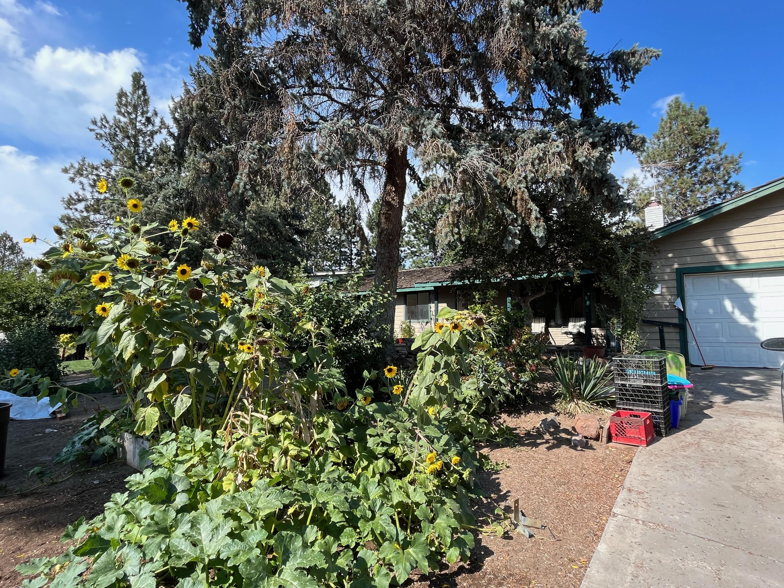 Canyon Park - Residential