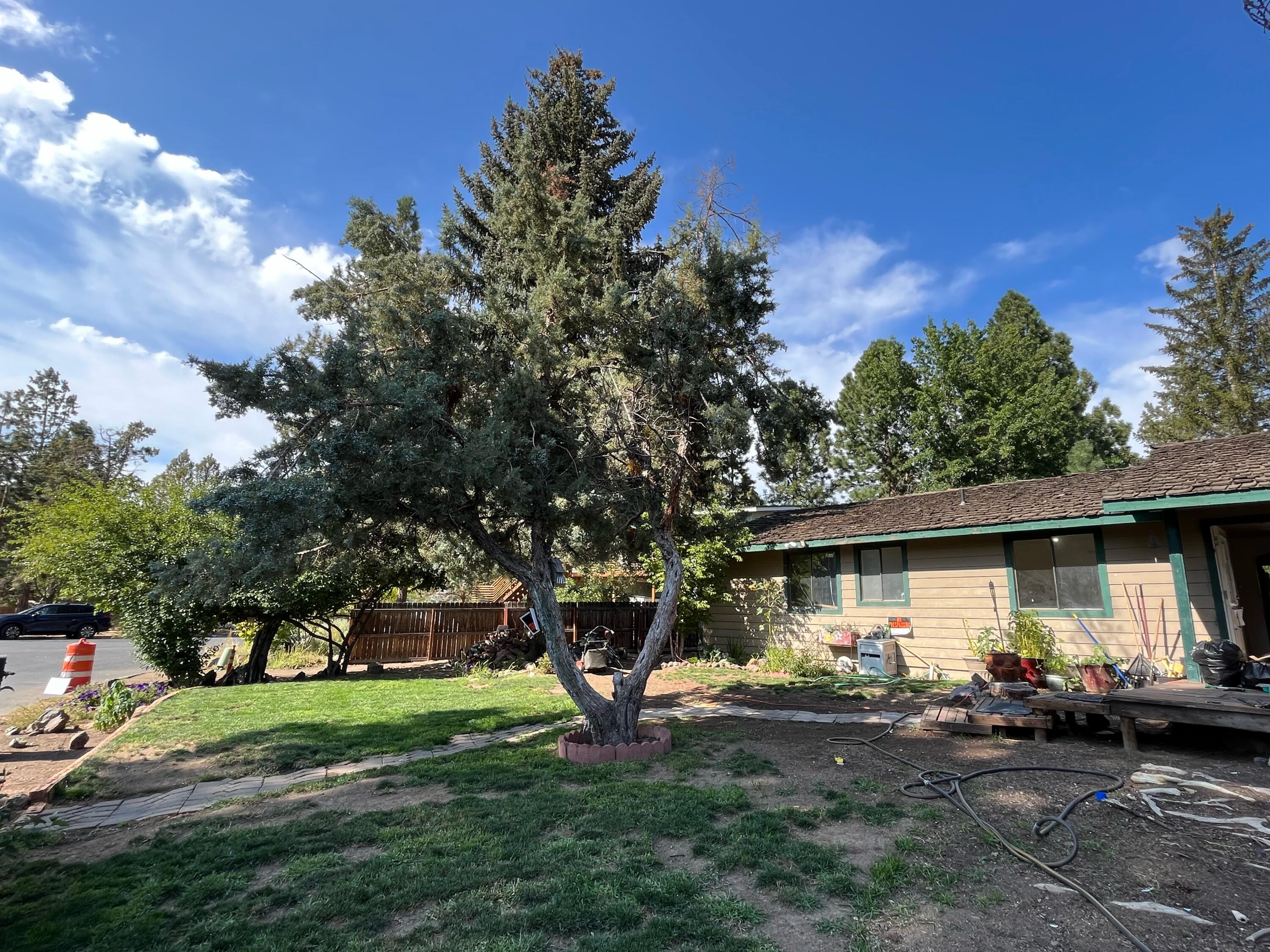 Canyon Park - Residential