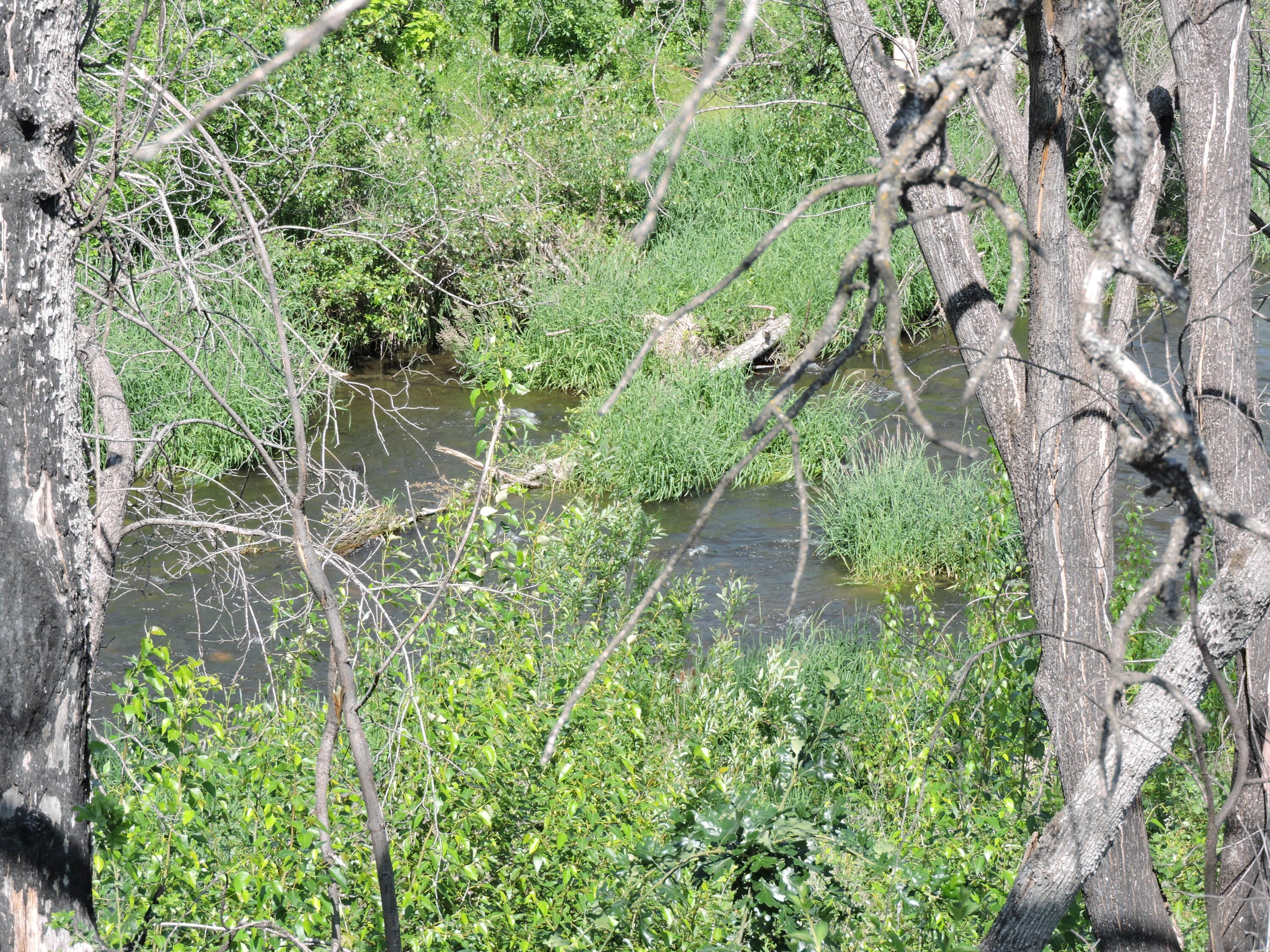 Talent Original Town (1888) - Commercial Sale