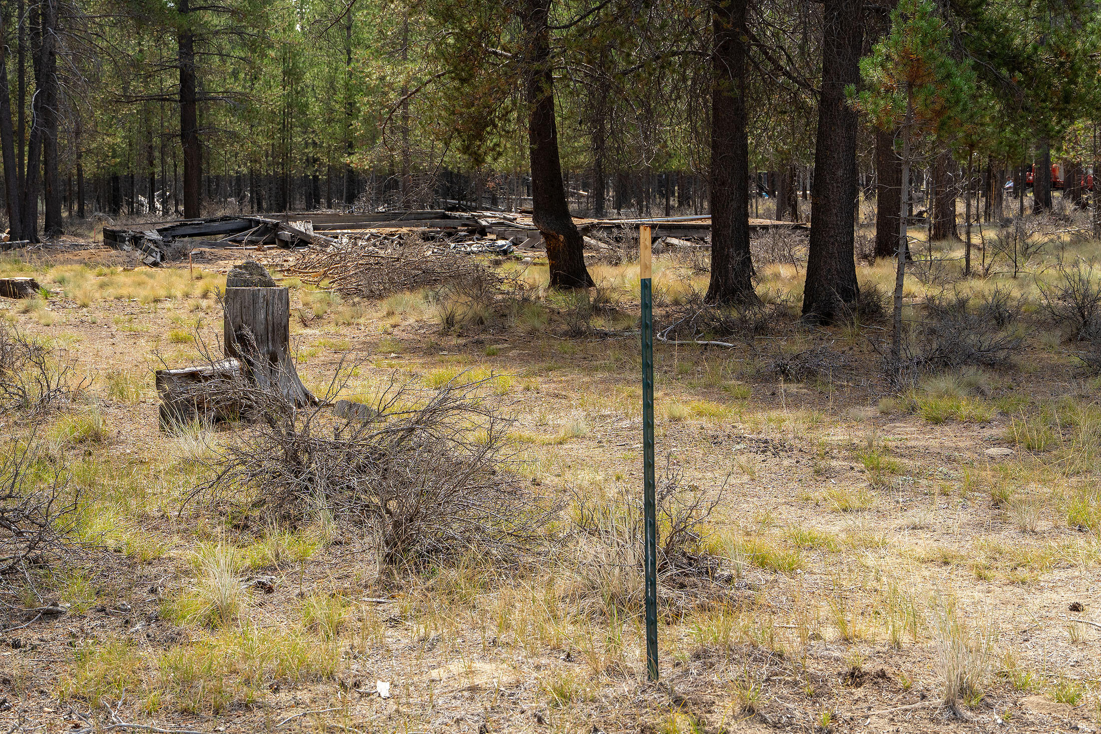 Sun Forest Estates - Land