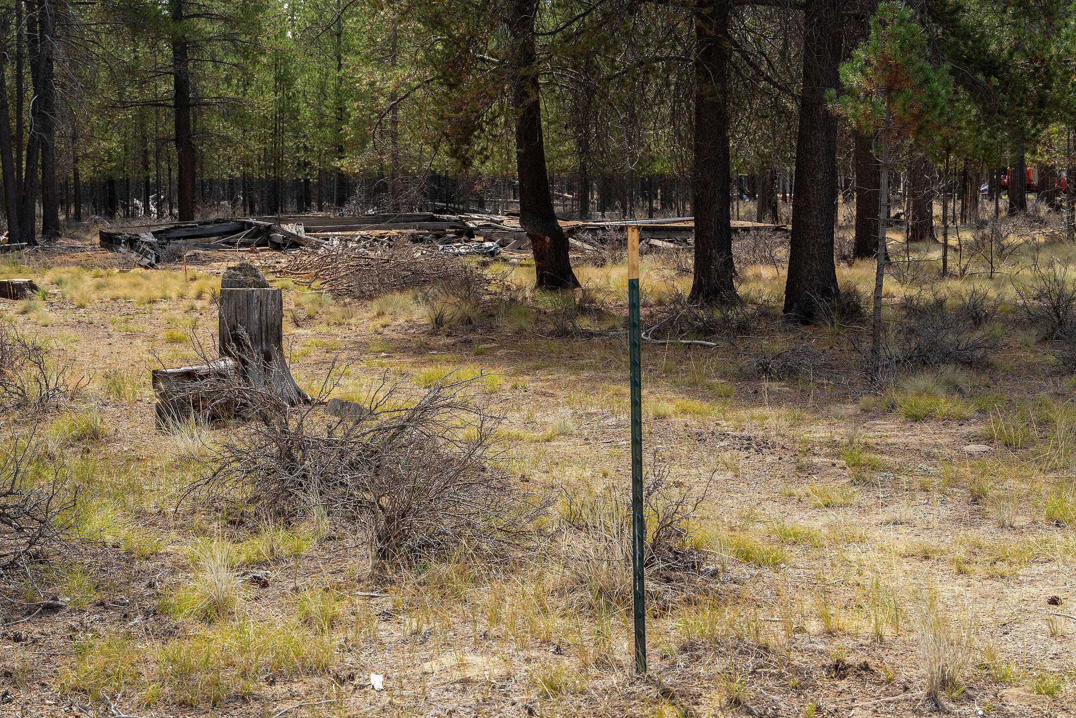 Sun Forest Estates - Land