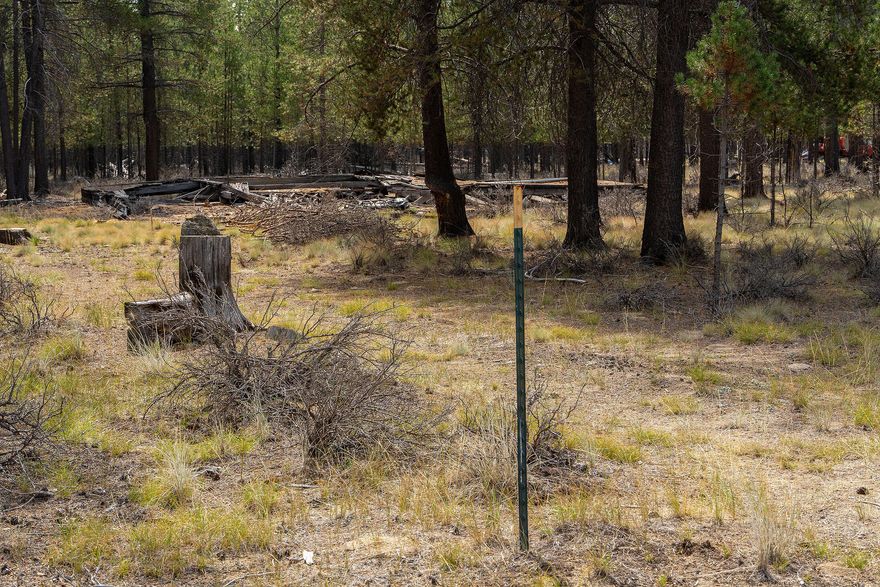 Perfect opportunity to purchase a vacant lot and build your Dream Home in the middle of the Central Oregon Outback! This property adjoins TL800 and you have the option of purchasing 1 for $70k or both for $140k and ensure some WIGGLE room on your property for more Privacy. This property is surrounded by beautiful forest land for you to enjoy the wildlife and the numerous outdoor activities offered here. Don't miss this one!
