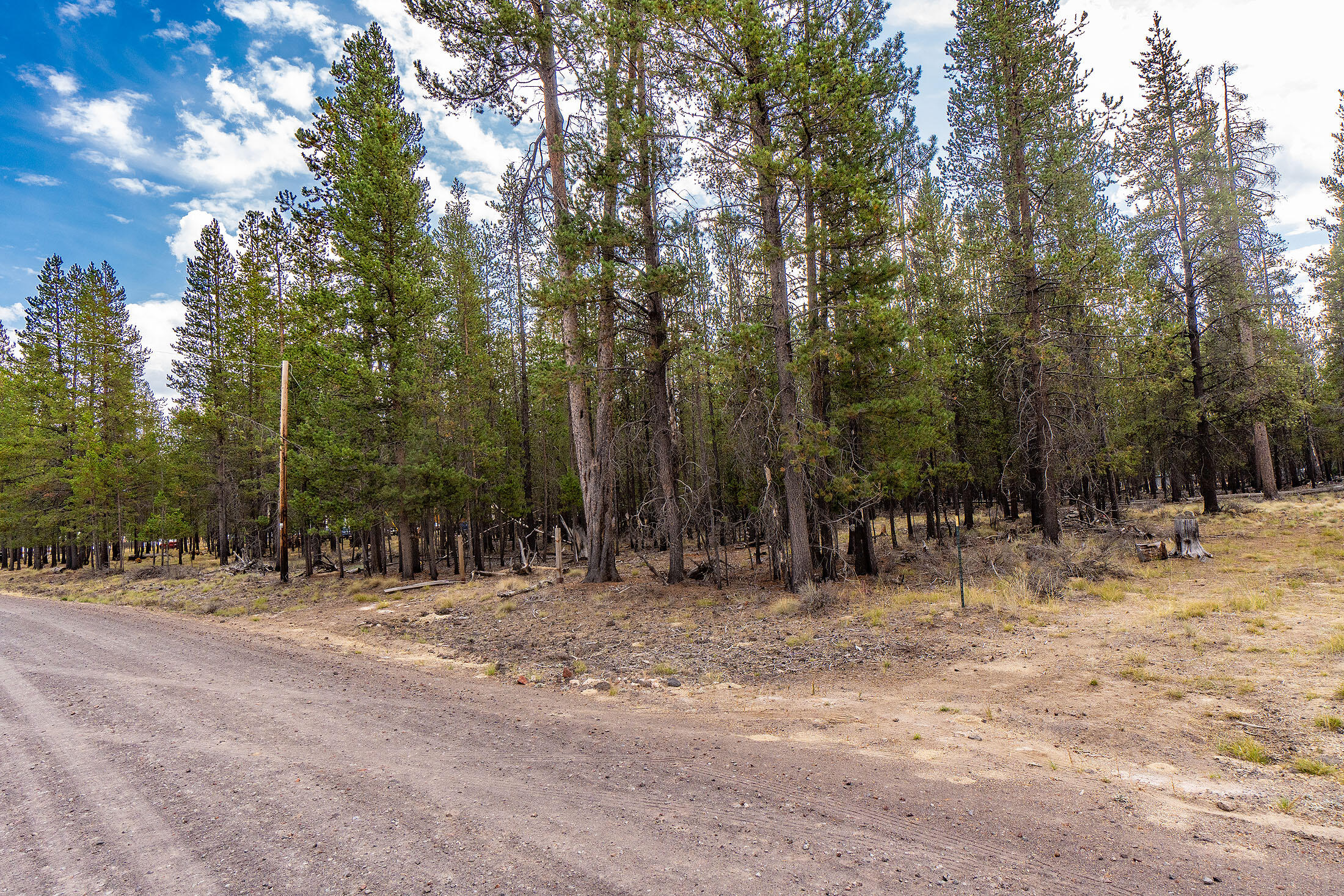 Sun Forest Estates - Land