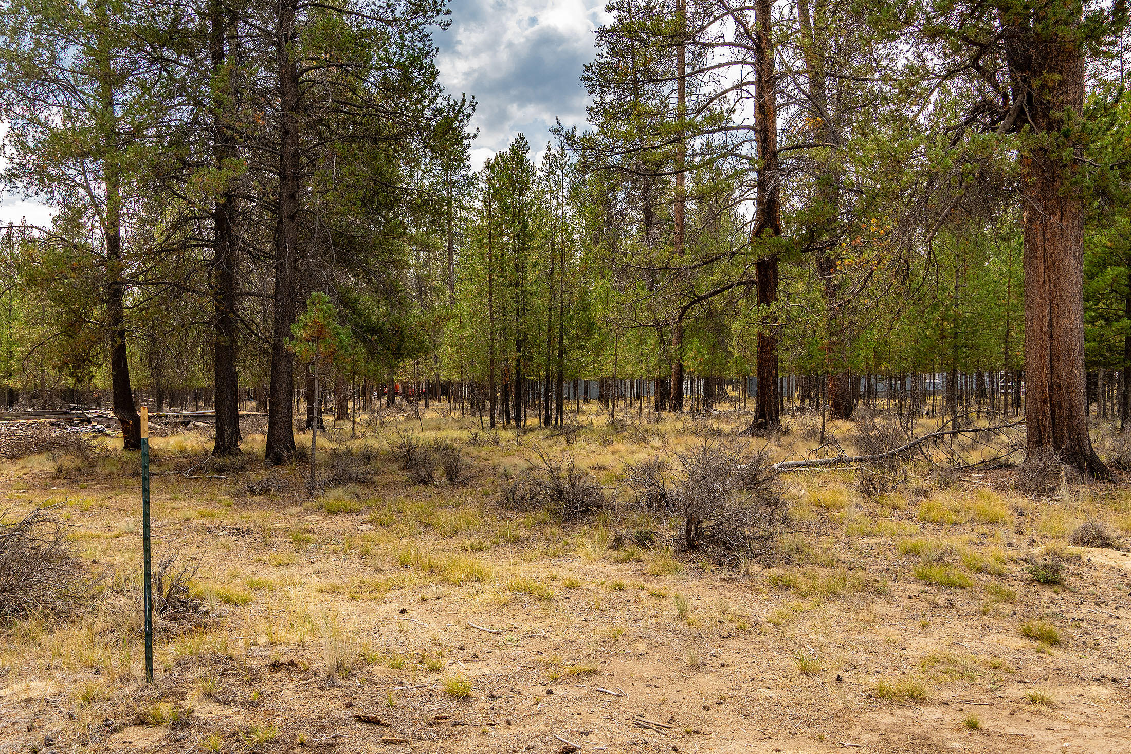 Sun Forest Estates - Land