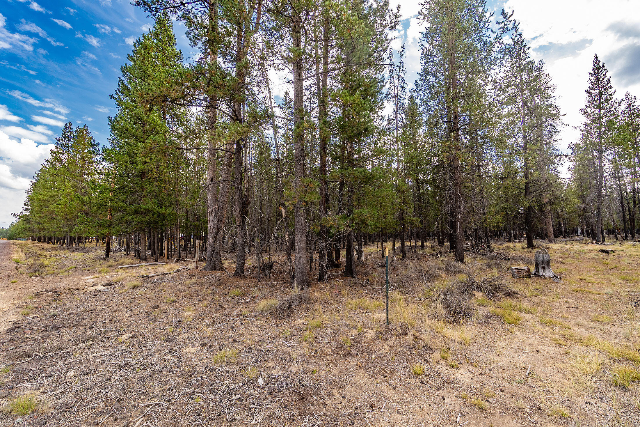 Sun Forest Estates - Land