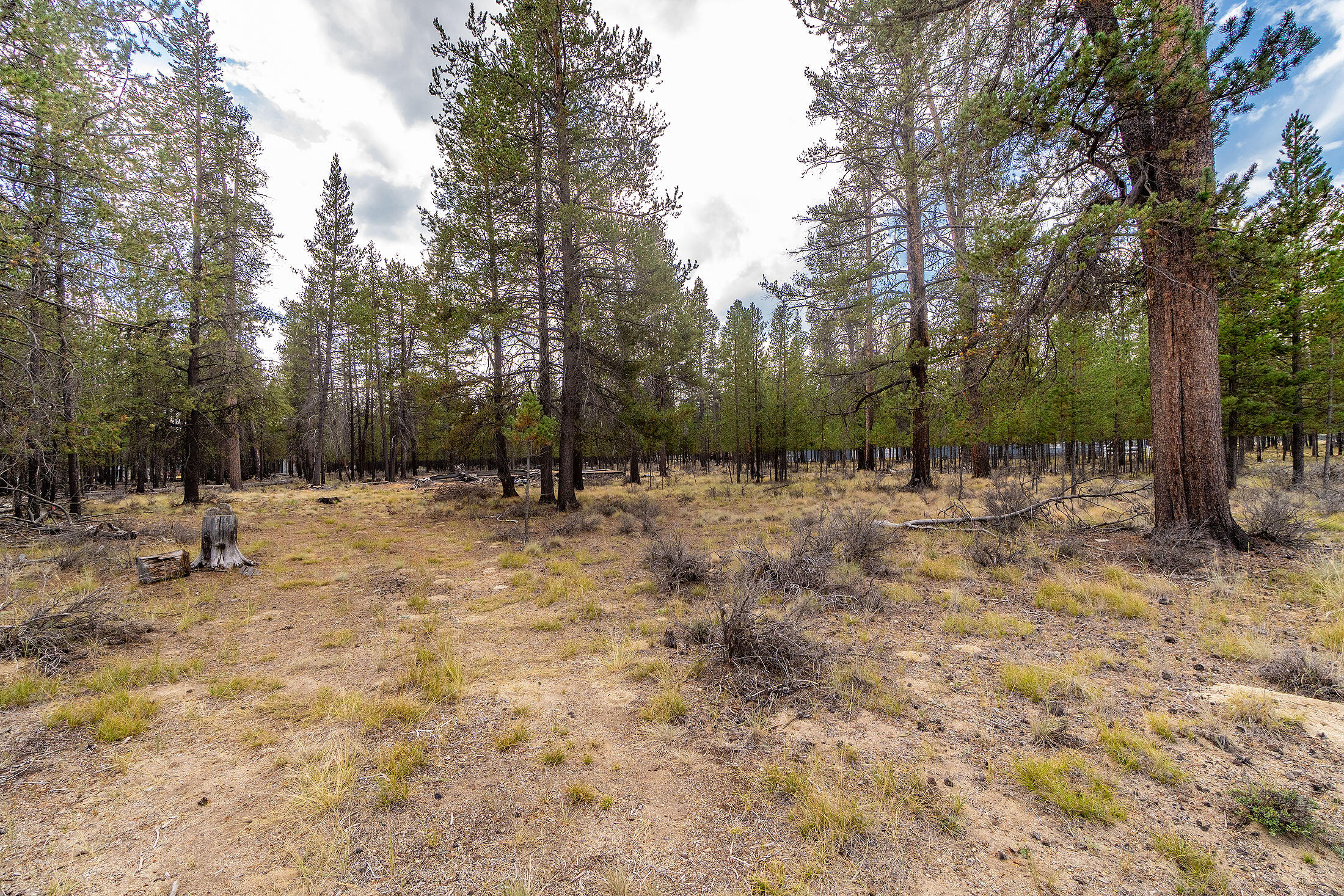 Sun Forest Estates - Land