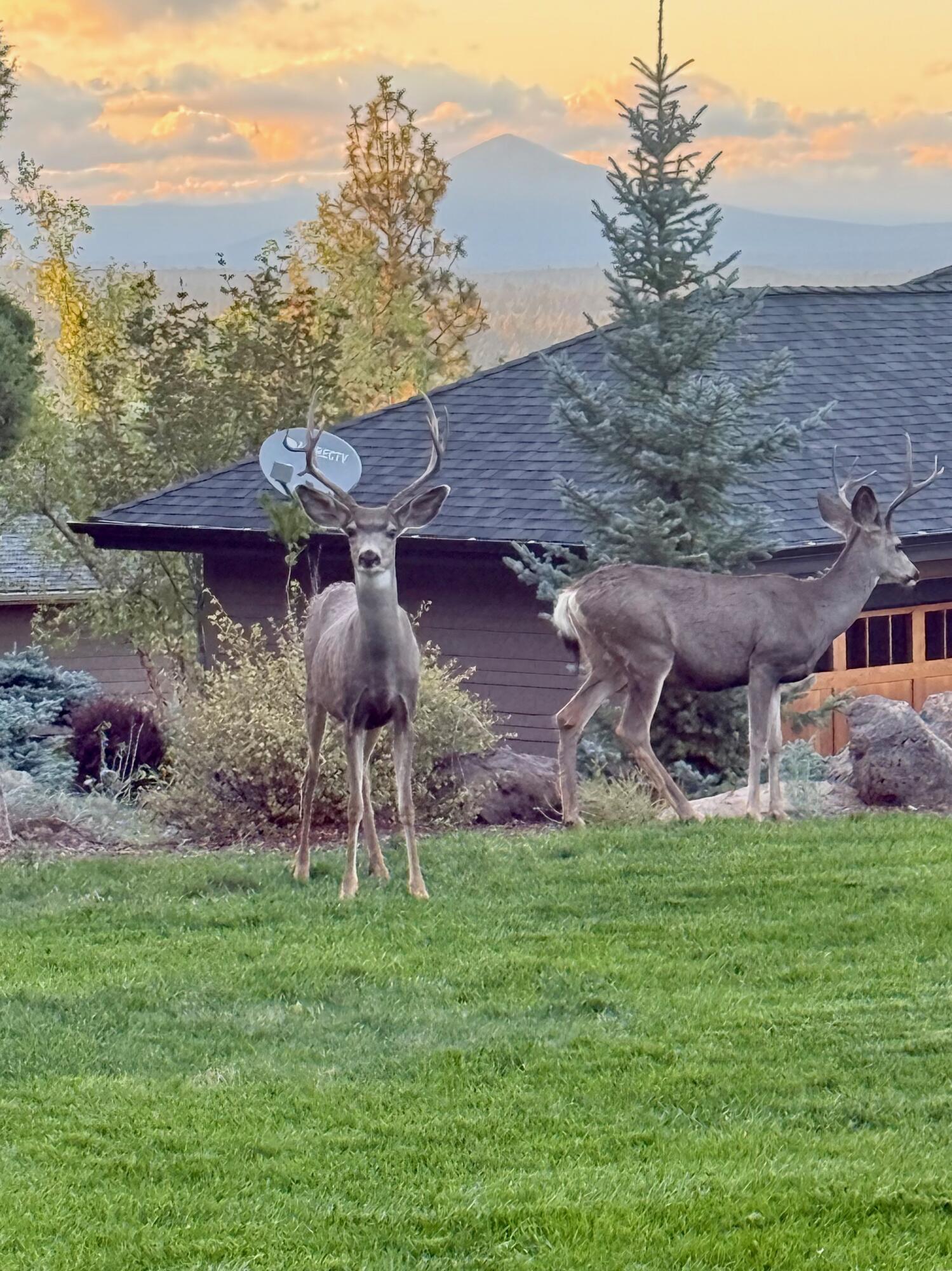 Awbrey Butte - Residential