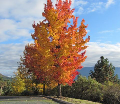 Tiny photo for 4806 Williams Highway, Grants Pass, OR 97527 (MLS # 220212724)