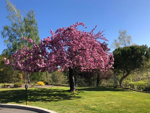 Tiny photo for 4806 Williams Highway, Grants Pass, OR 97527 (MLS # 220212724)