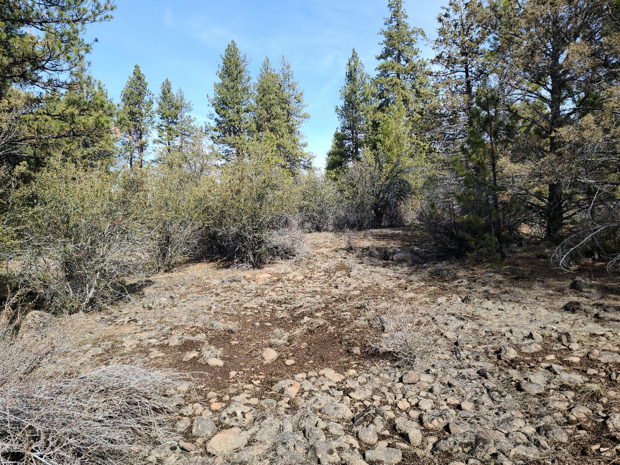 Klamath Falls Forest Estates Hwy 66 Unit Plat 4 - Land