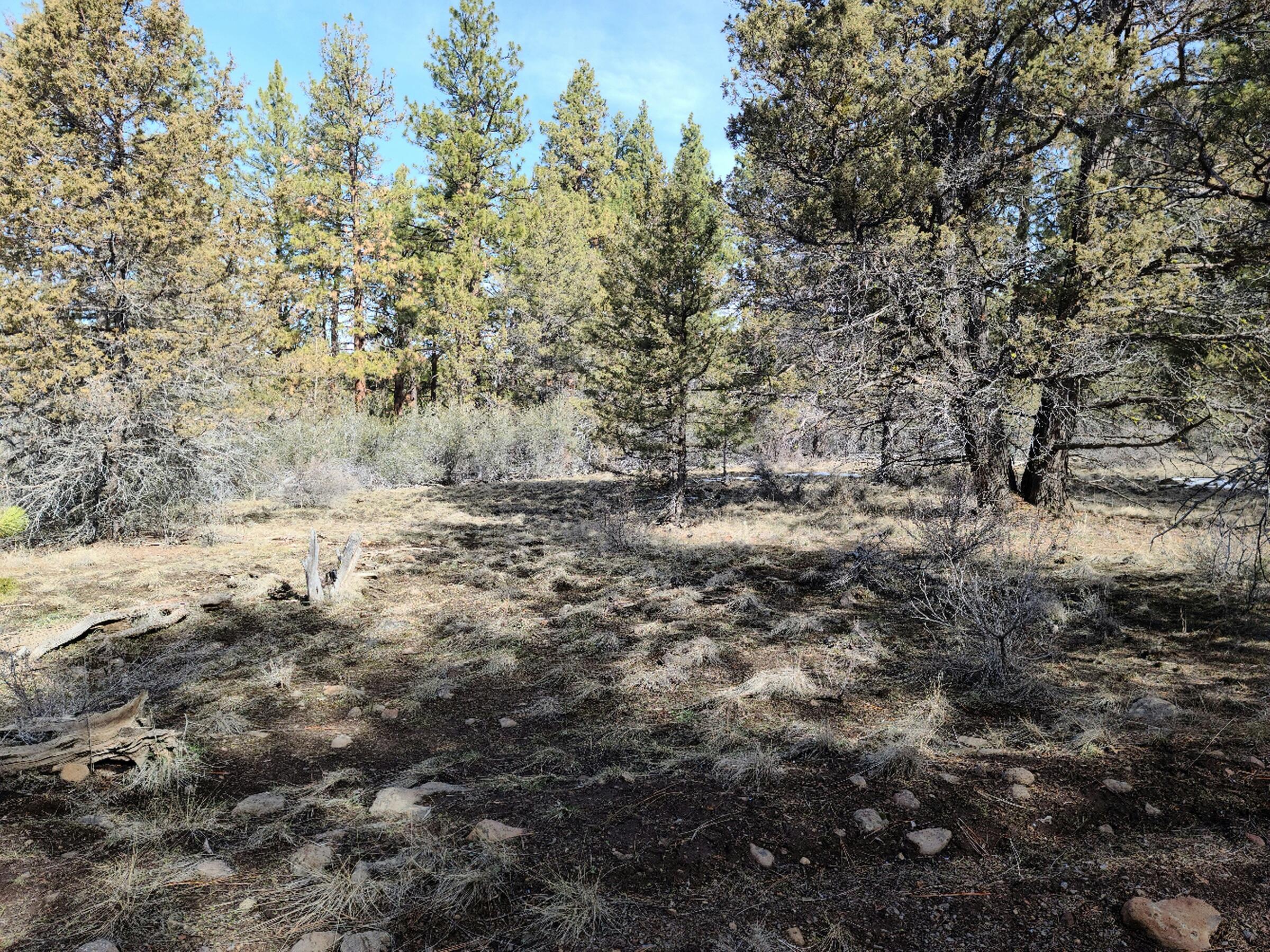 Klamath Falls Forest Estates Hwy 66 Unit Plat 4 - Land