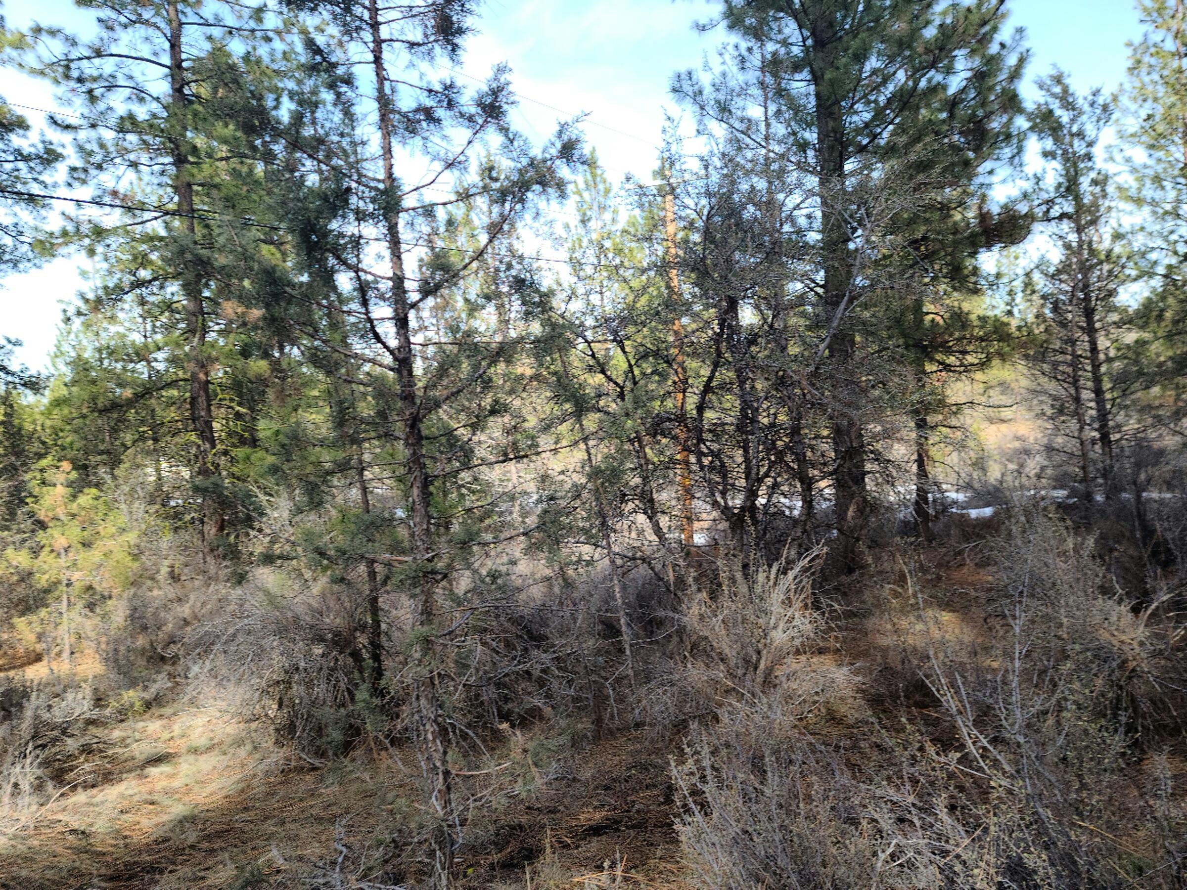 Klamath Falls Forest Estates Hwy 66 Unit Plat 4 - Land