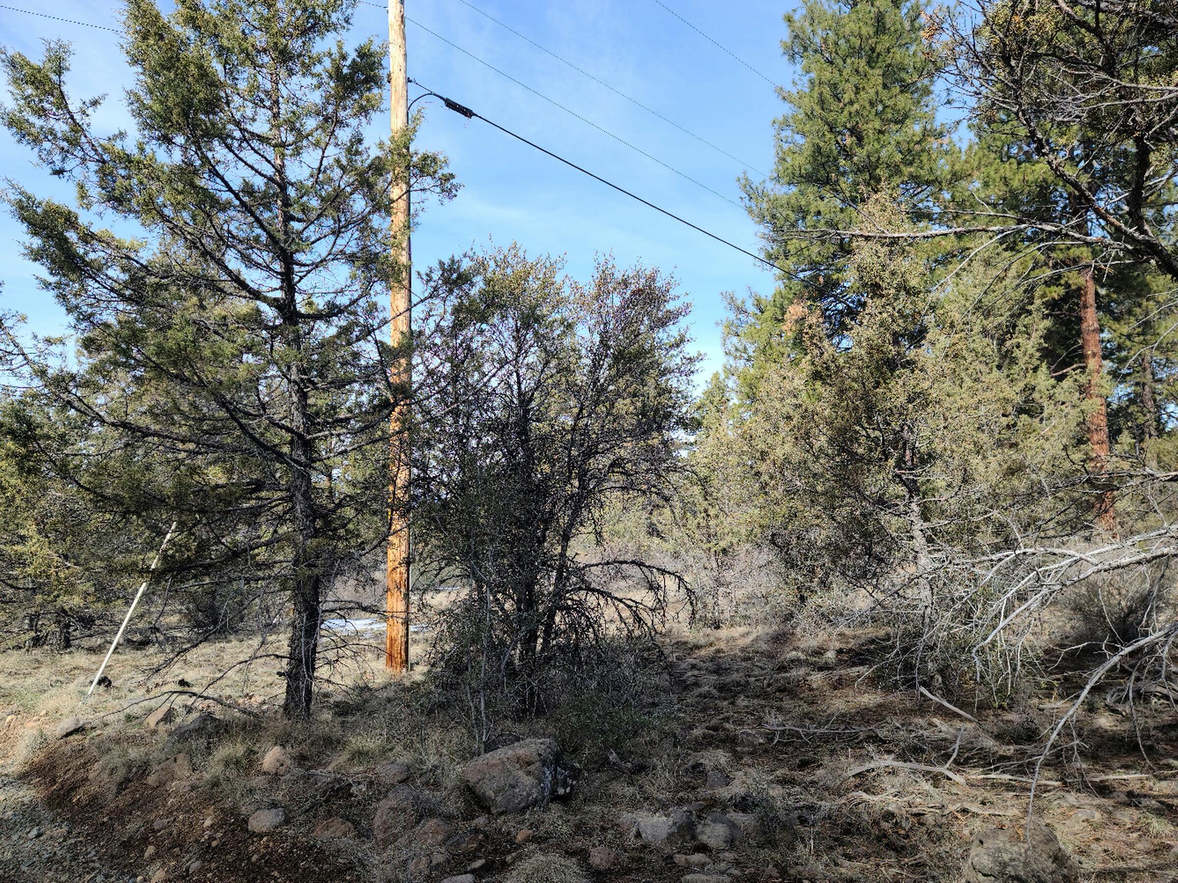 Klamath Falls Forest Estates Hwy 66 Unit Plat 4 - Land