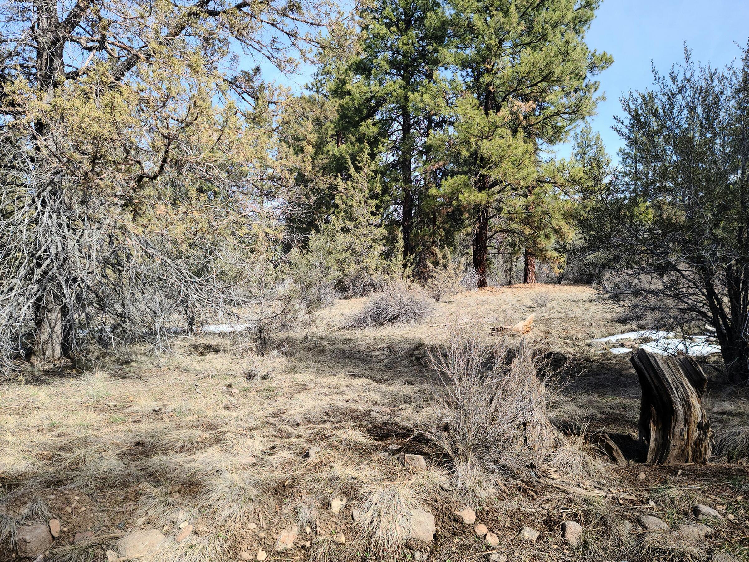 Klamath Falls Forest Estates Hwy 66 Unit Plat 4 - Land