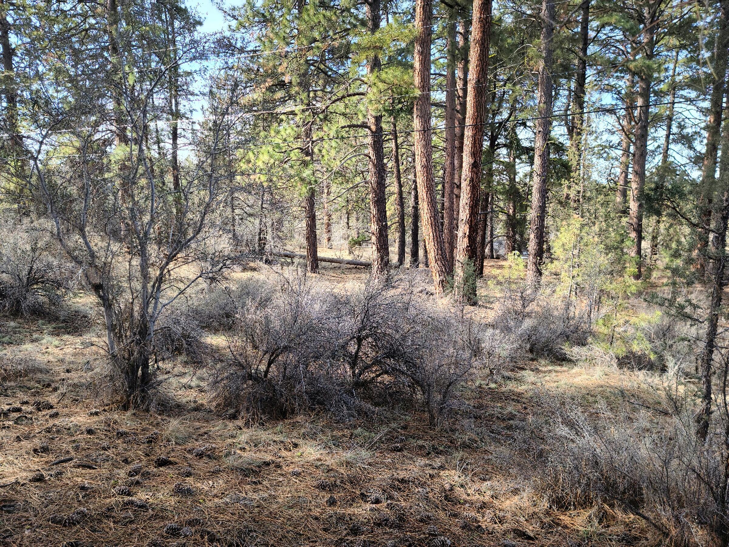 Klamath Falls Forest Estates Hwy 66 Unit Plat 4 - Land