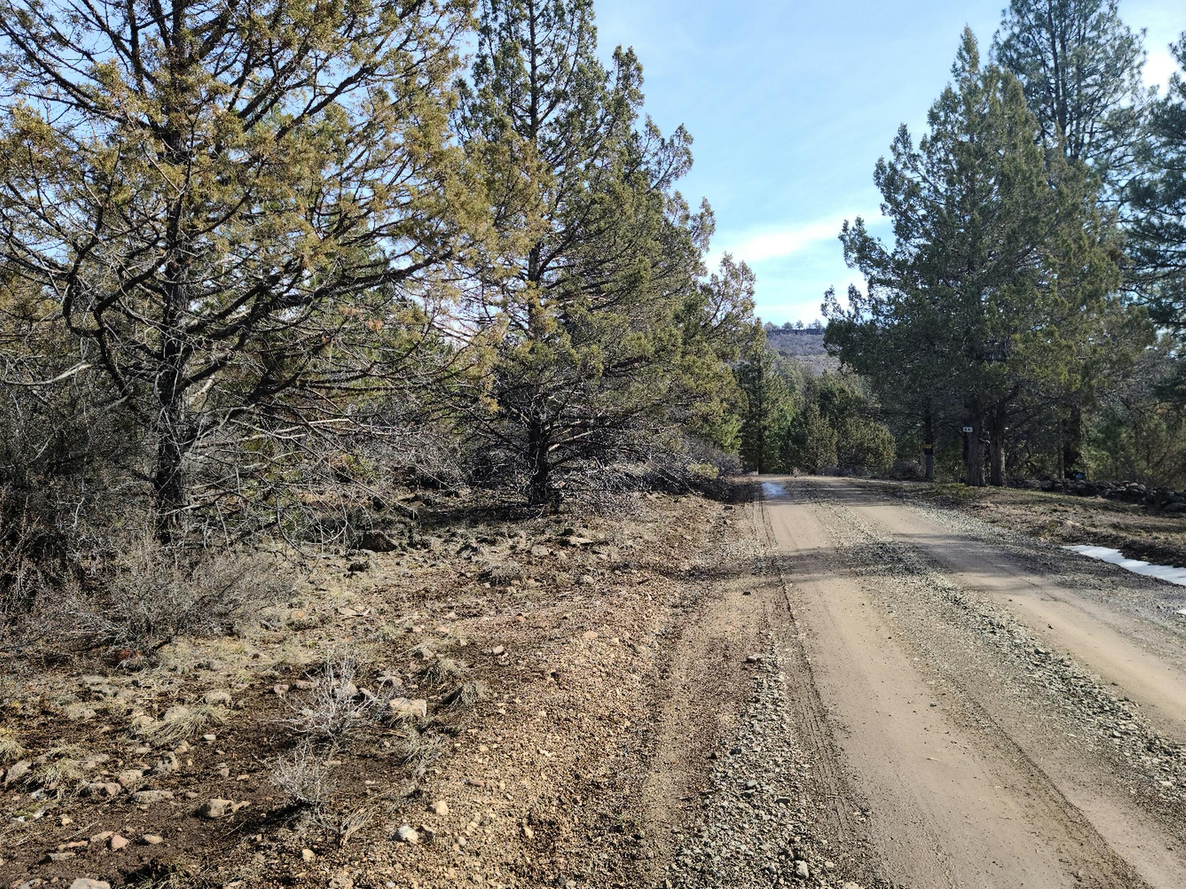 Klamath Falls Forest Estates Hwy 66 Unit Plat 4 - Land