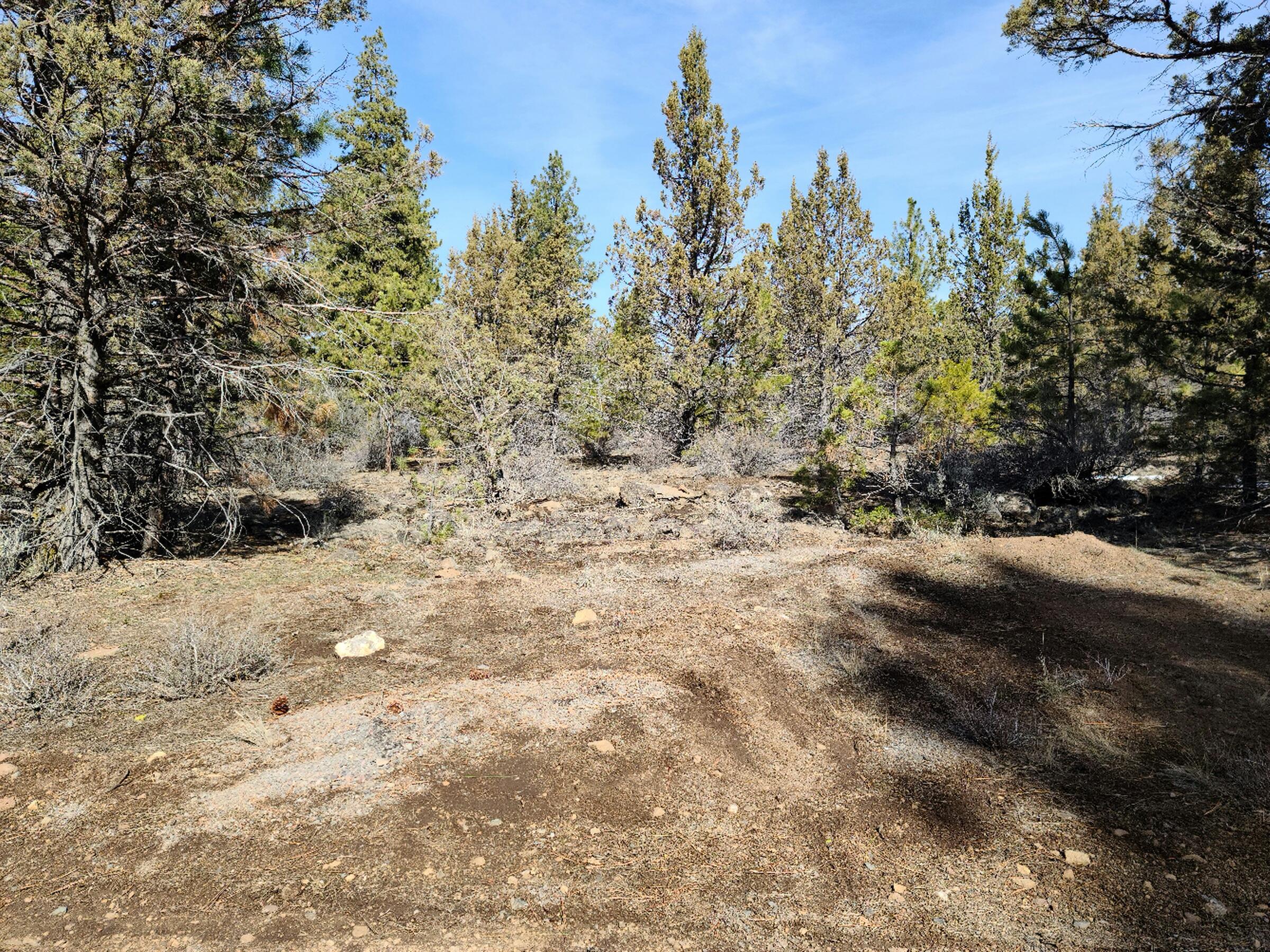 Klamath Falls Forest Estates Hwy 66 Unit Plat 4 - Land
