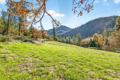 Tiny photo for 13688 Highway 238, Applegate, OR 97530 (MLS # 220215752)