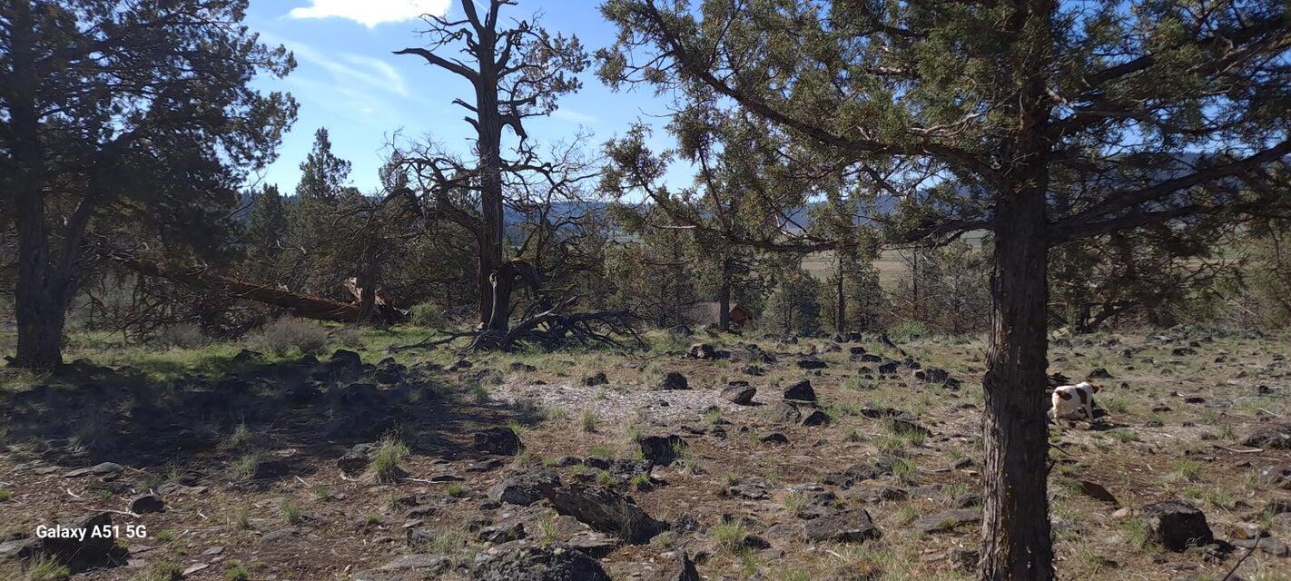 Running YResort - Land