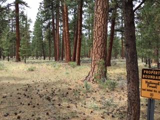 Tollgate - Residential