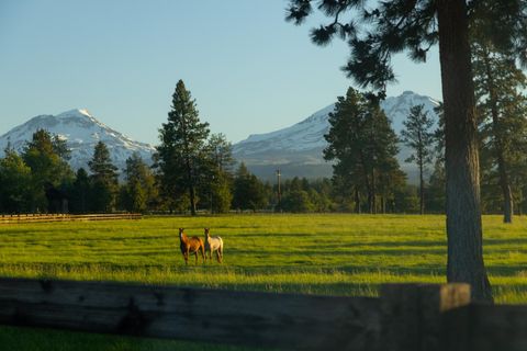 Tiny photo for 16400 Jordan Road, Sisters, OR 97759 (MLS # 220198767)