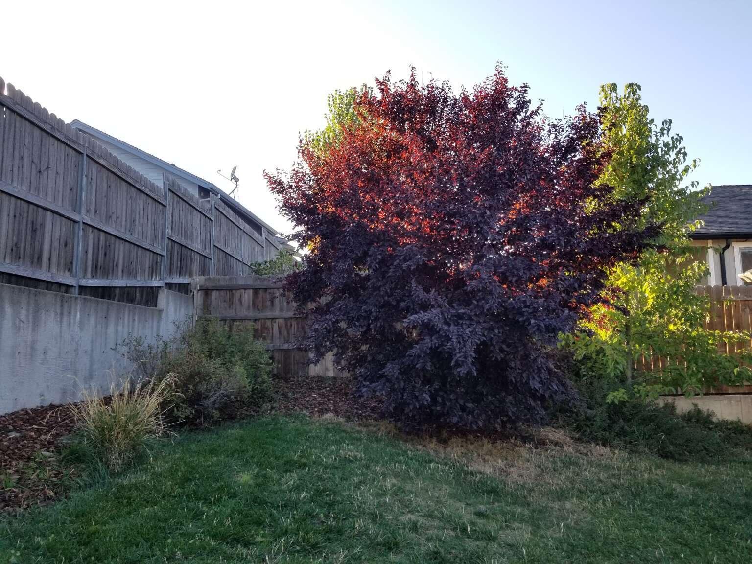 Sienna Hills Subdivision Phase 4 - Residential