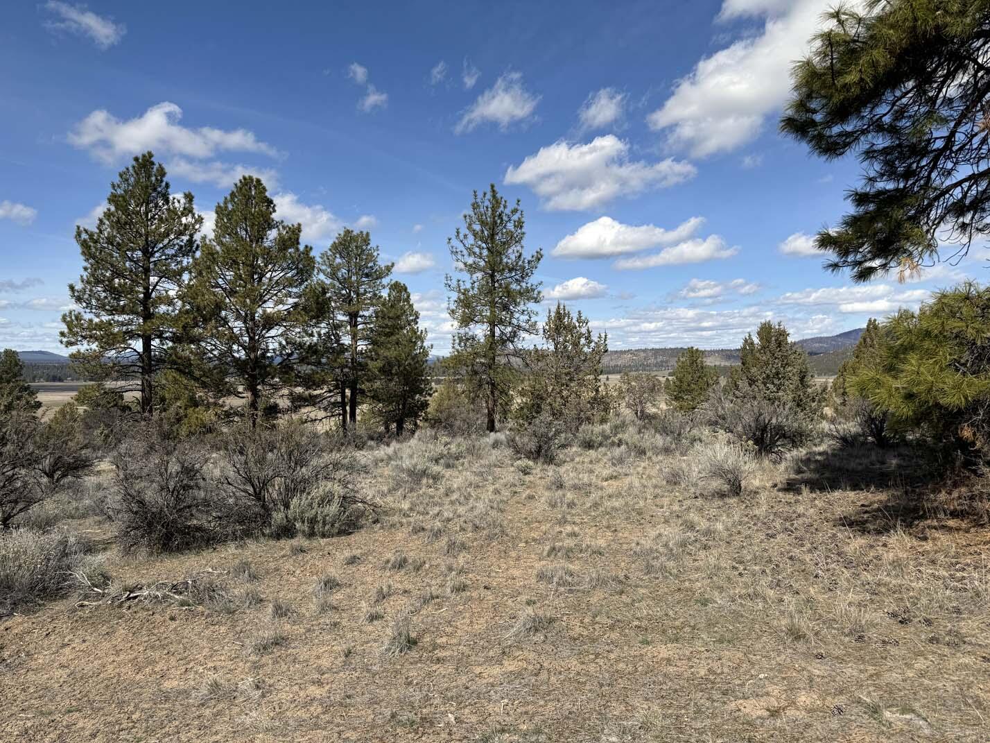 Sprague River Valley Acres - Land