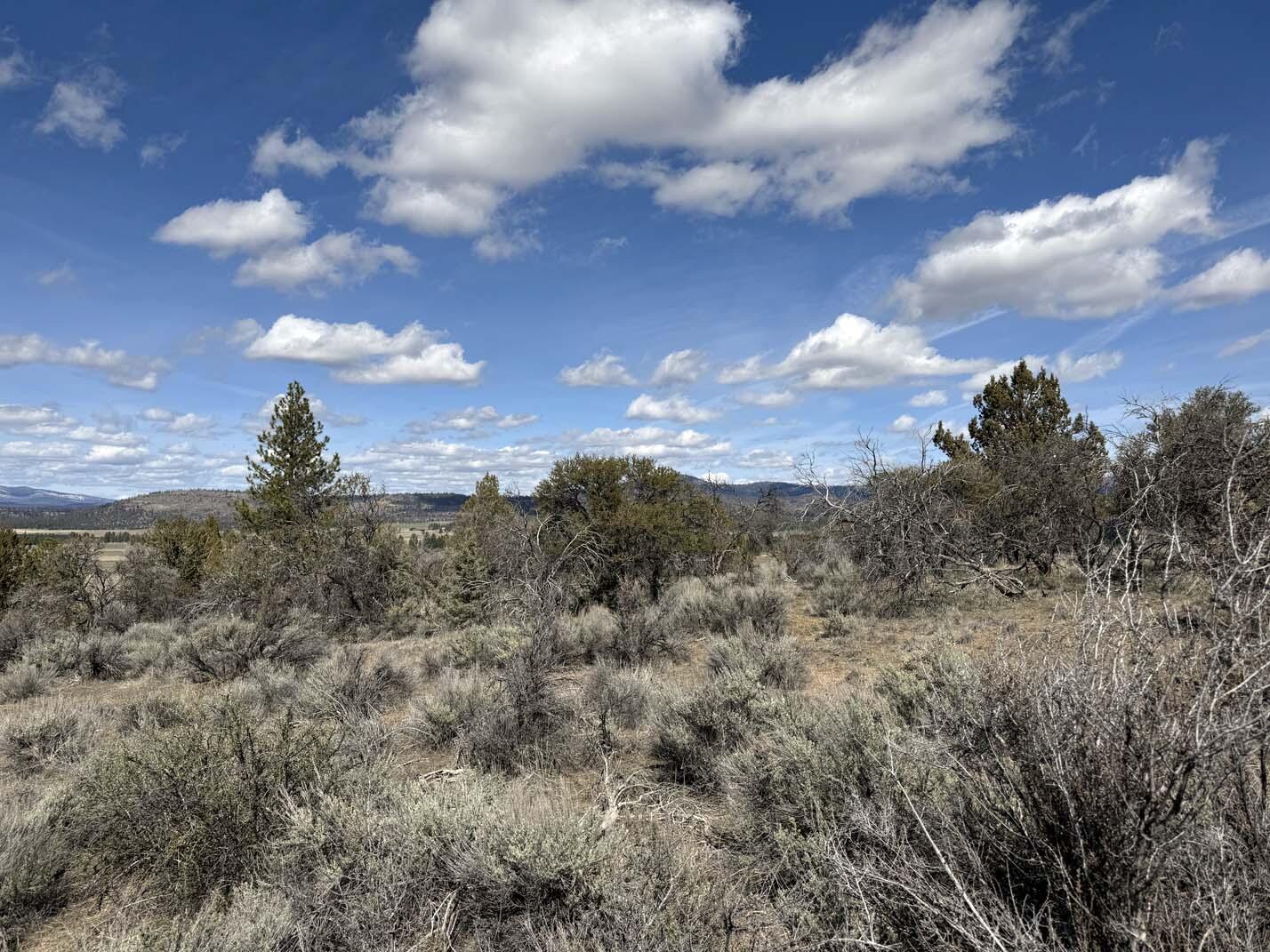 Sprague River Valley Acres - Land