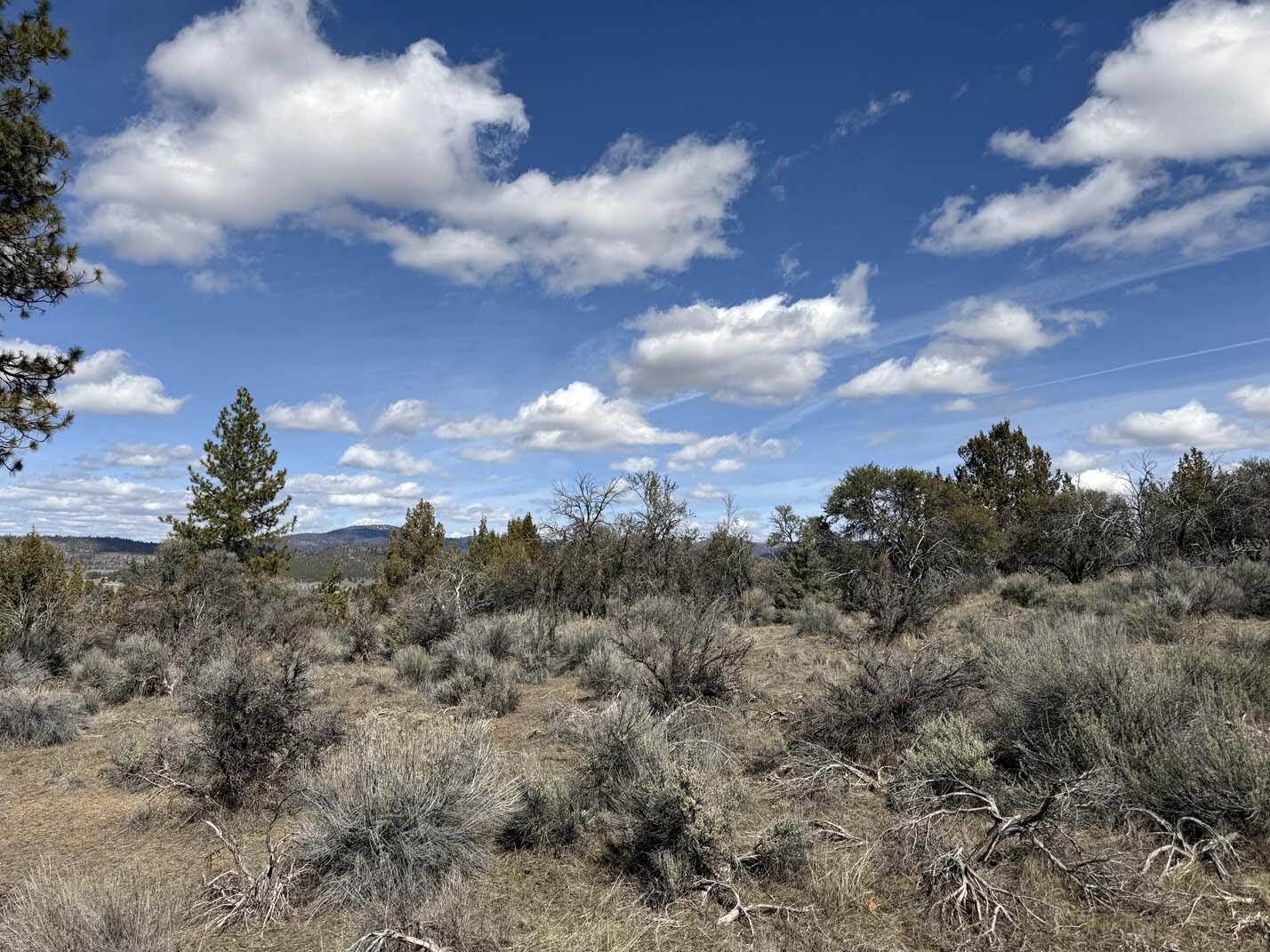 Sprague River Valley Acres - Land