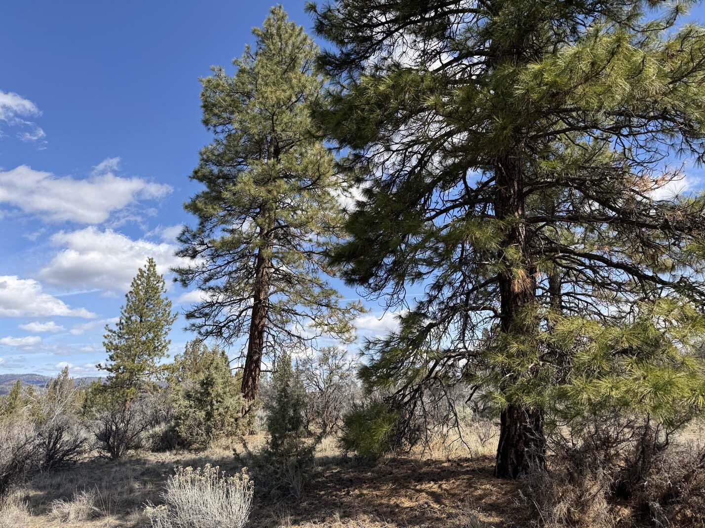 Sprague River Valley Acres - Land