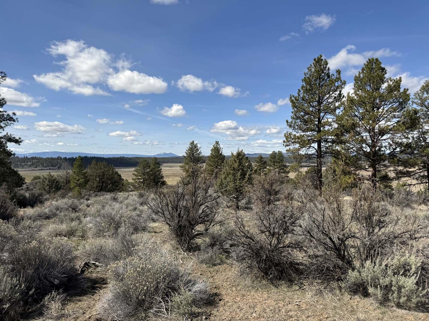 Sprague River Valley Acres - Land