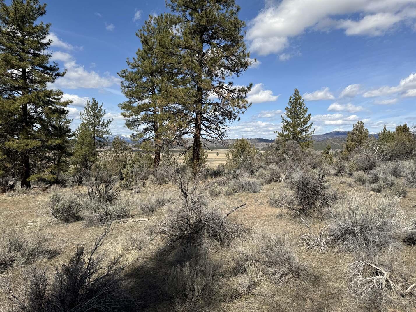 Sprague River Valley Acres - Land