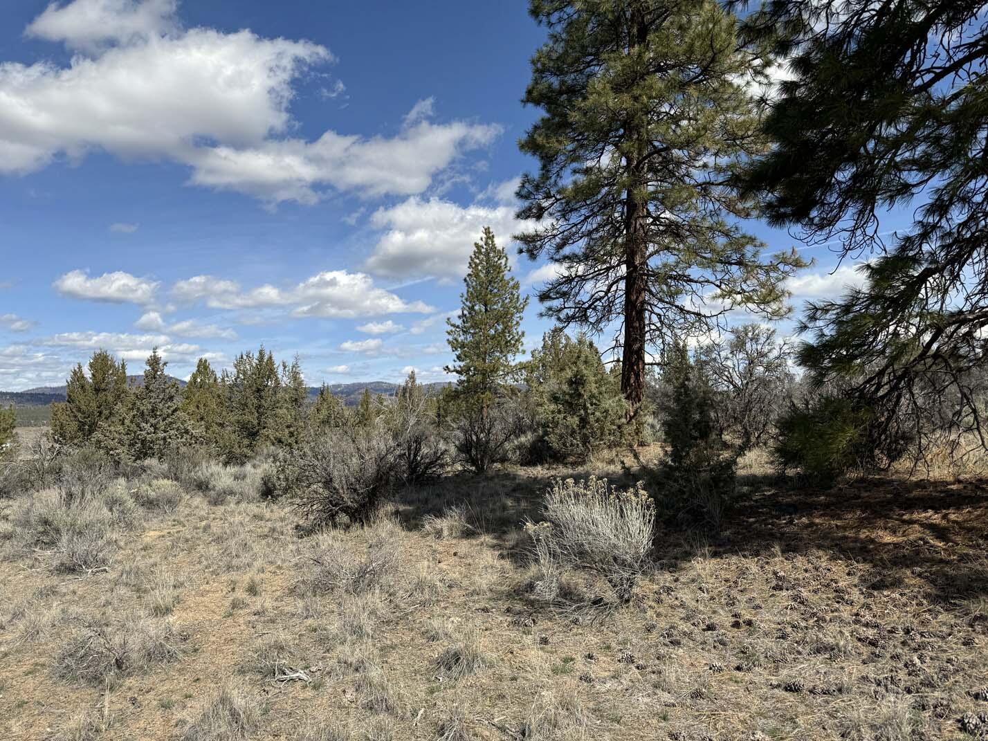 Sprague River Valley Acres - Land