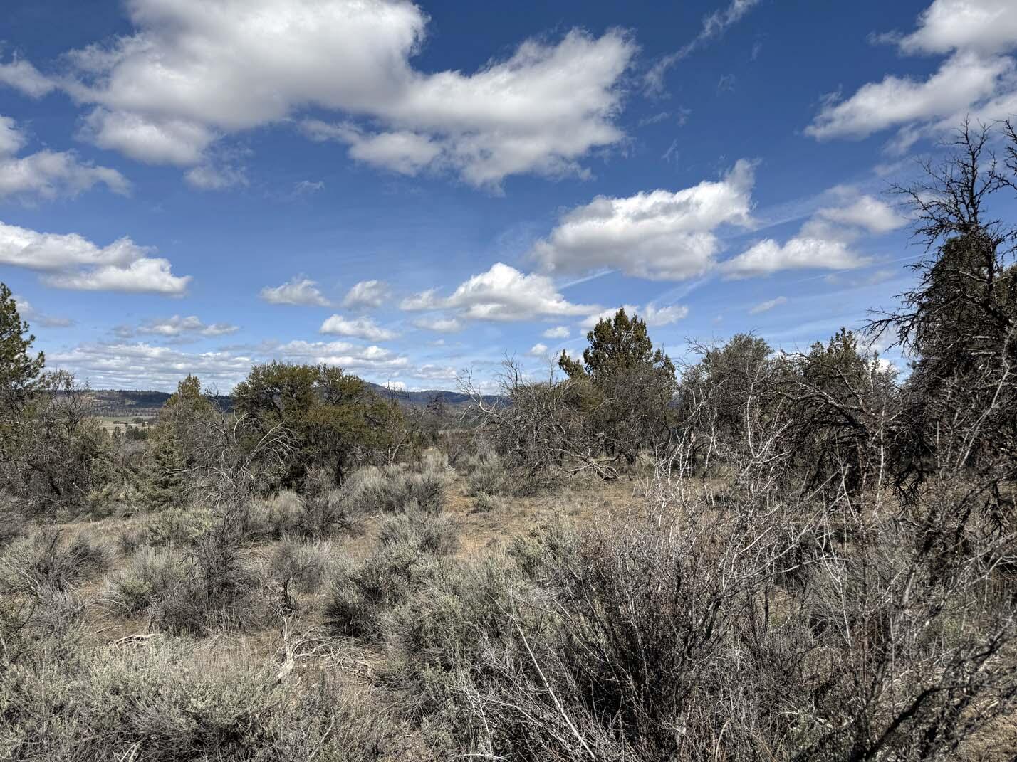 Sprague River Valley Acres - Land