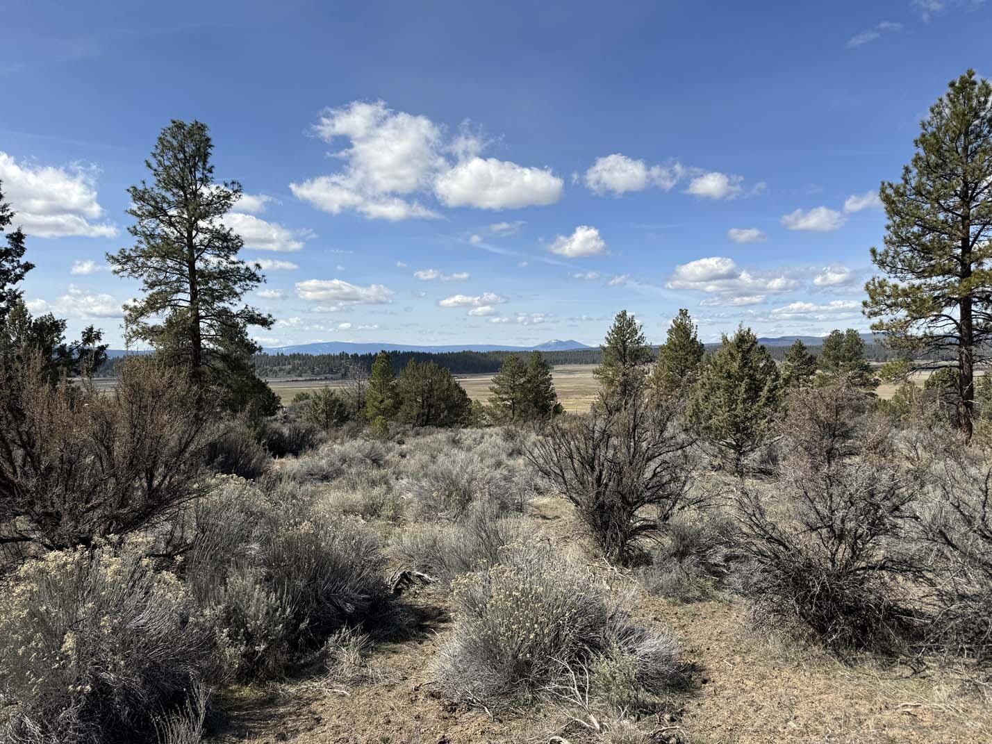 Sprague River Valley Acres - Land