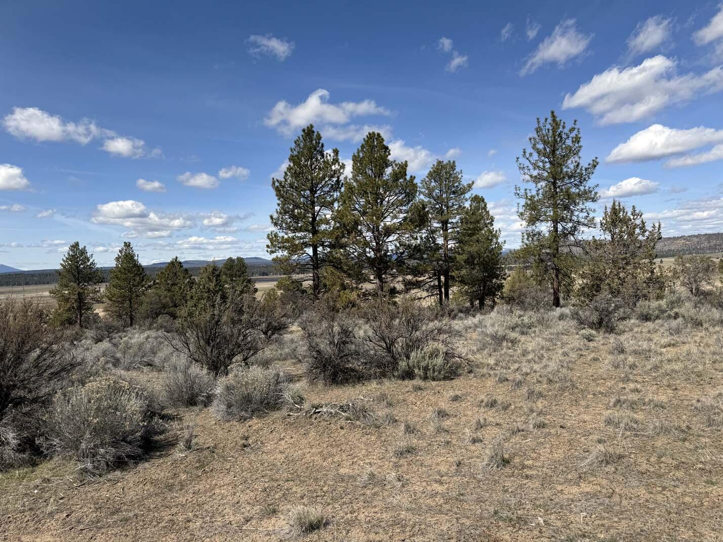 Sprague River Valley Acres - Land