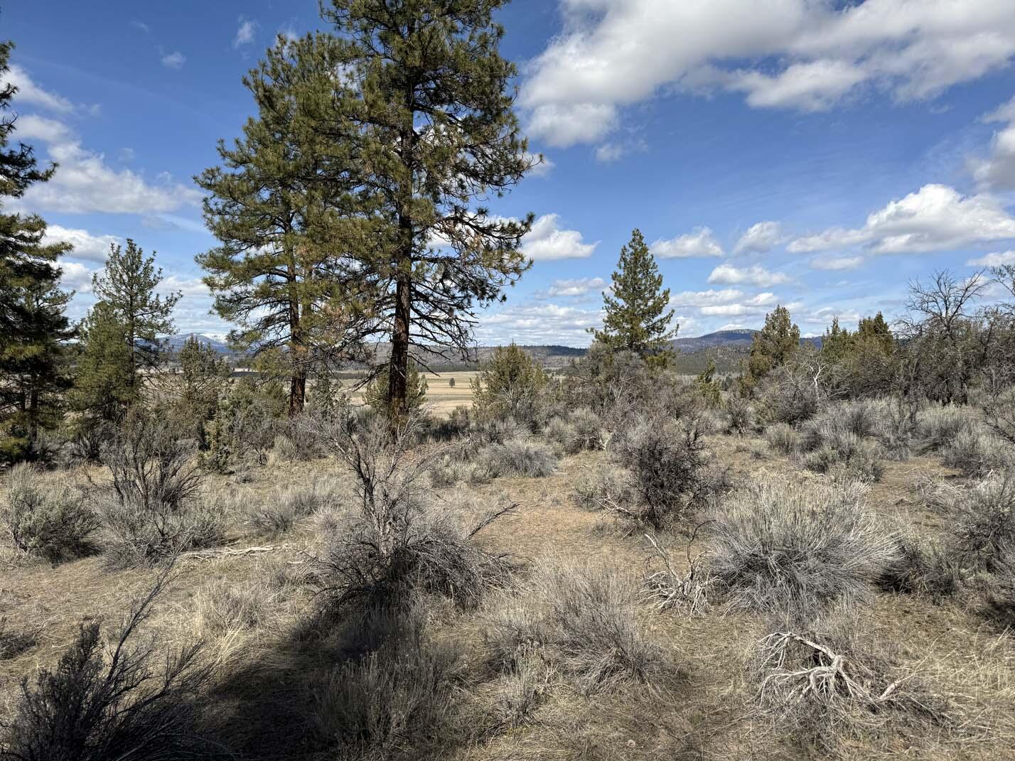 Sprague River Valley Acres - Land