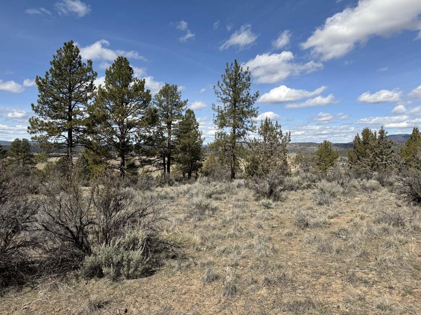 Sprague River Valley Acres - Land
