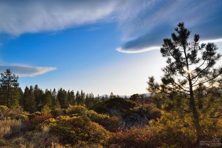 For comp purposes only.