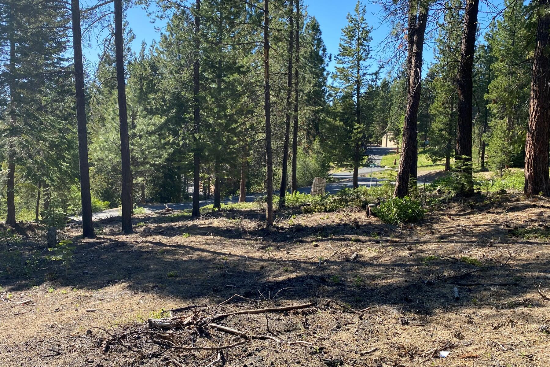 Leisure Woods - Land