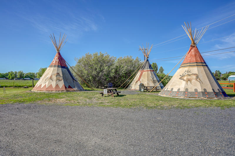 Willow Nook Acreage - Commercial Sale