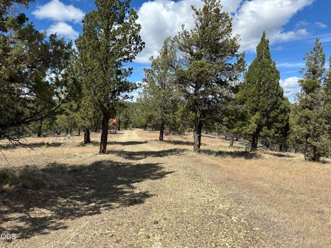 Tiny photo for 4705 NE Wittmer RD, Prineville, OR 97754 (MLS # 220223091)