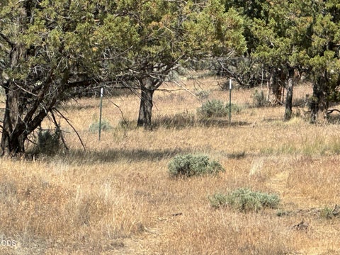 Tiny photo for 4705 NE Wittmer RD, Prineville, OR 97754 (MLS # 220223091)