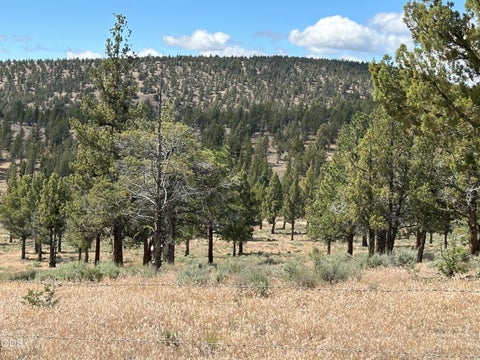 Tiny photo for 4705 NE Wittmer RD, Prineville, OR 97754 (MLS # 220223091)