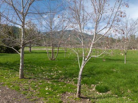 Tiny photo for 15902 Water Gap Road, Williams, OR 97544 (MLS # 220217607)